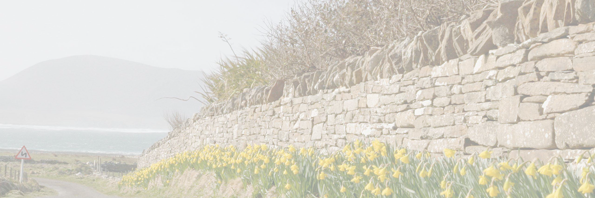 Wall running across a field